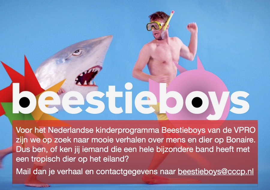 Oproep van Nederlands kinderprogramma Beestyboys