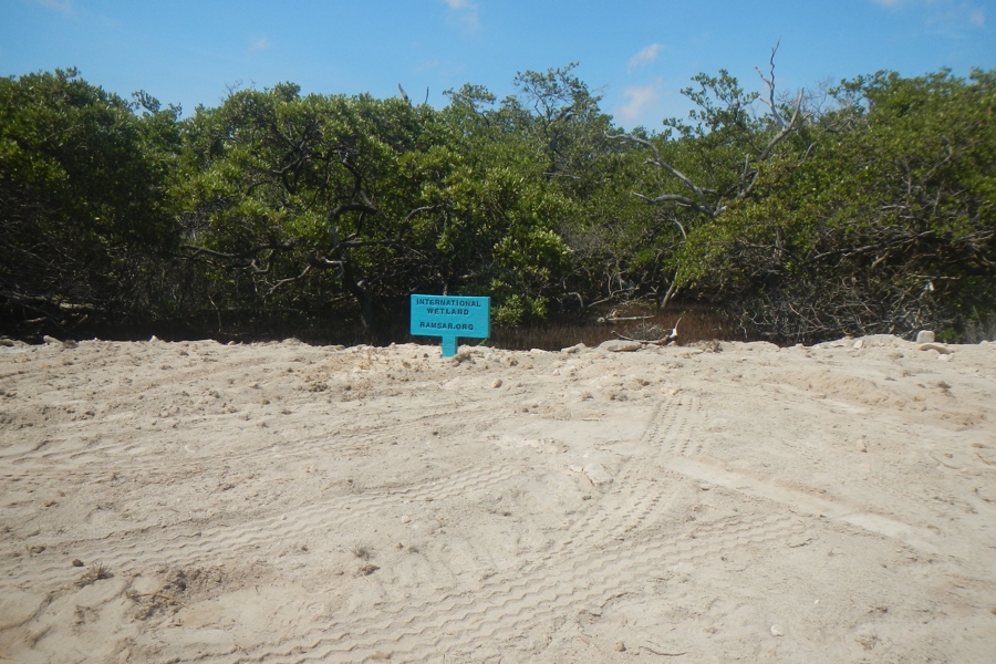 Ecologisch Herstel Lac gebied en Zuidelijk Bonaire