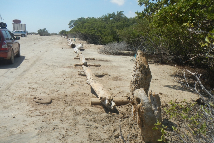 Ecologisch Herstel Lac gebied en Zuidelijk Bonaire
