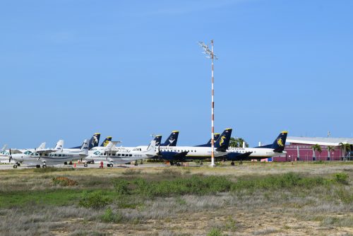 Flamingo airport vluchthaven